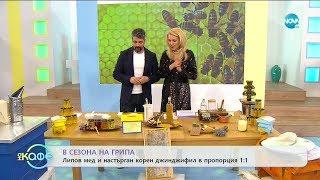 Стефан Николов - Мед и пчелни продукти в сезона на грипа - „На кафе” (27.01.2020)