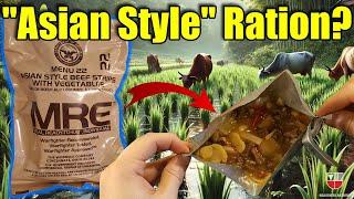 US Military "Ethnic" MRE (Asian Style Beef Strips)  Menu 22 Meal Ready To Eat Army Ration Review