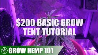 Basic Grow Tent & Indoor Timelapse Grow Tutorial