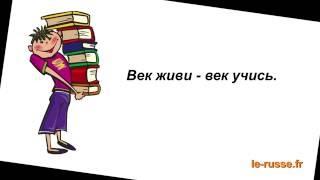 Пословицы об учении - Русский язык с удовольствием РКИ - Включите субтитры