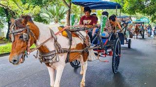 KUDA | KUDA DELMAN - NAIK KUDA | LAGU NAIK DELMAN,BALONKU ADA LIMA  KERETA API, ABC SONG