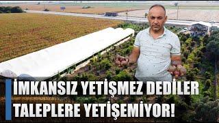 Kafayı Mı Yedin Dediler Atıl Arazide Üretti! Siparişlere Yetişemiyor / AGRO TV HABER