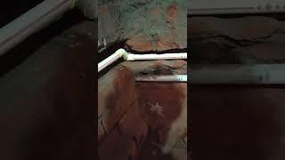 cpvc pipe feeting