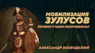 Чака Зулу и корни государства зулусов. Александр Воеводский. Родина слонов №345