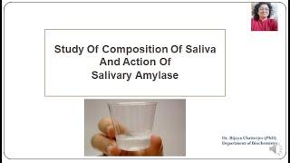 Composition of Saliva and Salivary Amylase Activity on Starch