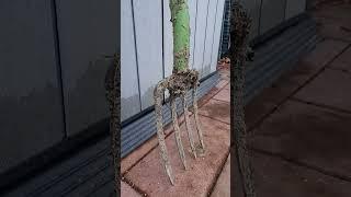 Don't Do This With Your Garden Tools