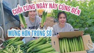 351 MỪNG RỚT NƯỚC MẮT CUỐI CÙNG NGÀY NÀY CŨNG ĐẾN RỒI