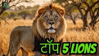 इन LIONS के सामने बड़े बड़े के सितारे भी फीके है | Top 5 Most Famous Lions in The World