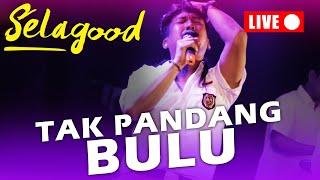 SELAGOOD - TAK PANDANG BULU (Live)