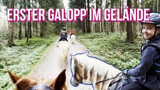 Folge 75 Erster GALOPP im GELÄNDE & Weihnachtsquadrille | Reiten mit Hafi