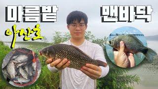 붕어낚시, 아산호 구성리 맨바닥권, 창용리 마름밭 Crucian carp fishing