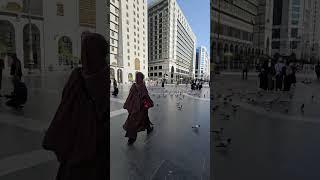 Masjid Nabawi