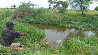 Best Float fishing video|Fisherman Catching fishes in Village pond With Big hook|Unique fishing