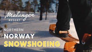 Wild Adventures: Snowshoeing in Malangen Wilderness Camp