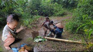 Single mother, 17 years old, was surprised to help her uncle, Ly Tieu Anh, go to the forest