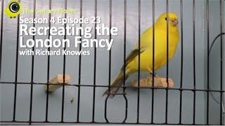 The Canary Room Season 4 Episode 23 - The London Fancy with Richard Knowles