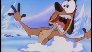 Disney's Timon & Pumbaa(Disney-ABC)Czech Intro(NaQis&FriendsUSA/HiT)(1995-1999)
