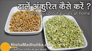 How to Sprout pulses at home |  |  दालों को अंकुरित  करें । How to Sprout Lentils