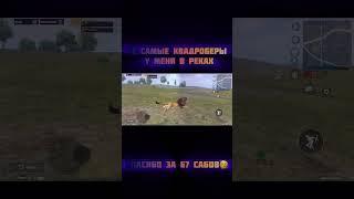 Хахахаха те самые кводроберы у меня в реках #dobro #pubgmobile #pubg #пабг