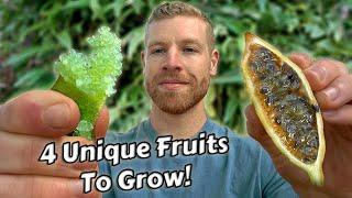 Growing & Tasting Some Of My Favourite Unusual Fruits