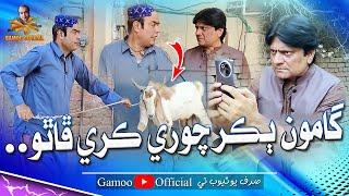 Gamoo Bakar Chori Kare Phatho | Asif Pahore (Gamoo) | Sohrab Soomro | New Comedy Funny Video | Eid