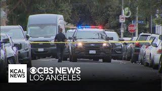 LAPD shoots domestic violence suspect after pursuit ends in West Adams