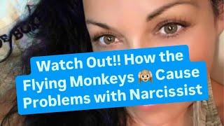 Watch Out!! How the Flying Monkeys  Cause Problems with Narcissist