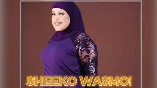 SHEEKO WASMO: Macaan Badan Raaxo! Kala Kicis#wasmo #kalakicis #live #somalitiktok #somalia #somalia