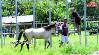 ujicoba kemampuan anak balong -balap kuda sasake