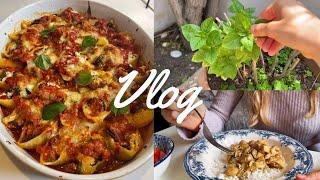 Daily life of a Homebody, Making Stuffed Zucchini Pasta Shells &  Lemon Chicken Stew | Vlog |ENG