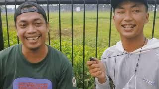 SOKIN TUKANG SOMAY DI BEKASI