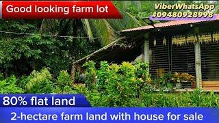 (Vlog#021) 2-hectare farm land for sale with house gandang bakasyon nito. 1.3m price