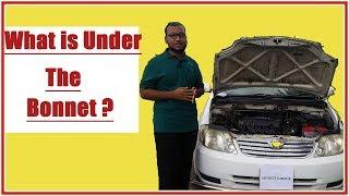 Car Basic: Parts Under the Bonnet Explained in Bangla
