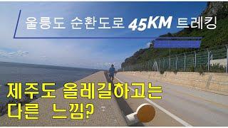 울릉도 순환도로 45 KM  하루일주 트레킹 (1)