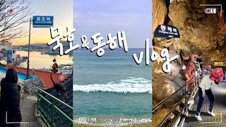 VLOG | 춥지만 따뜻했던 묵호•동해 1박2일 여행브이로그 • 맛집 카페 숙소 추천 • 뚜벅이 꿀팁