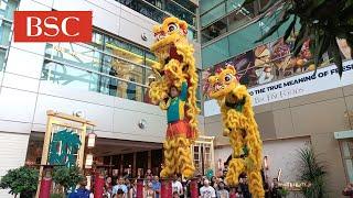 Pre-CNY 2024 - Acrobatic Lion Dance by Khuan Loke at Bangsar Shopping Centre 双溪威群樂体育会龙狮团