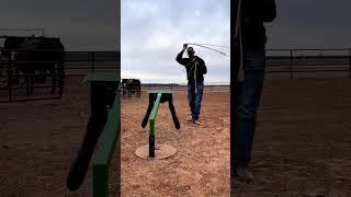 TEAM ROPING 2023 • REELS • JUNIOR NOGUEIRA • LAÇO PÉ • TEAM ROPING CAVALETE