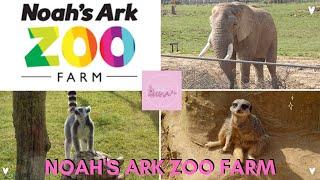 Noah's Ark Zoo Farm | Bristol | Home Educator Day