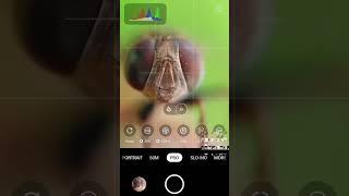 New Realme C51 Photography  | Realme Mobile Phone latest version | Sohan Tech