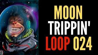  LOOP #024 - ATMOSPHERE TYPE BEAT, FREE LOOP KIT 2019, FREE MELODY LOOPS