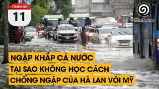 Ngập khắp cả nước. Tại sao không học cách chống ngập của Hà Lan với Mỹ | TỔ BUÔN 247 (11/06/2024)