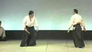 Ki Aikido -  Taigi 21