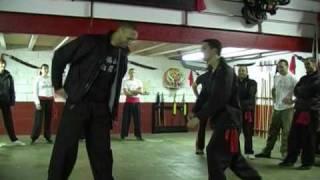 FAT SAN PAK MEI // 4 (Techniques) 佛山 白眉拳