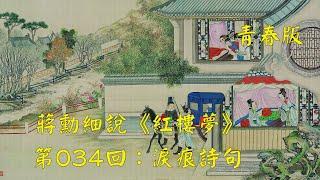 蒋勋细说红楼梦第034回：泪痕诗句（青春版）