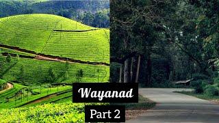 Wayanad travel vlog | part 2 | Malayalam vlog | RINOOZ VLOG#