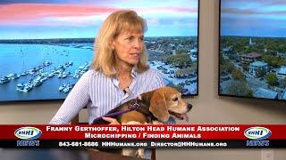 WHHI NEWS | Franny Gerthoffer: Microchipping / Finding Animals | Hilton Head Humane | WHHITV