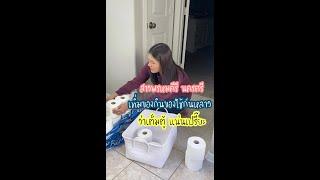 เติมของกินของใช้เต็มตู้ แน่นเปรี๊ยะl Thai Mom Life in USA