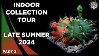 #Cactus & #Succulent Indoor Collection Tour | Late Summer 2024 | Part 2