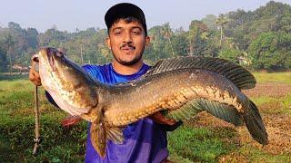 DECATHLON ഇൽ ഇത്രയും നല്ല ചൂണ്ട ഉണ്ടായിരുന്നോ... | Decathlon WXM 100 Rod & Reel | Fishing Videos |
