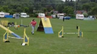 Luna Agility UKA Hereford 2010